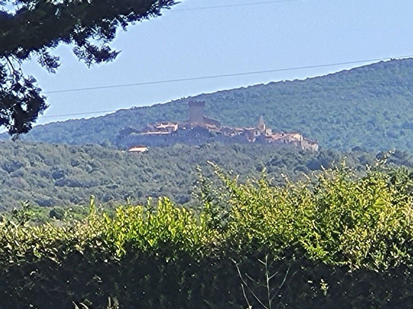 5000m² Land in Capalbio, Italy No. 289922