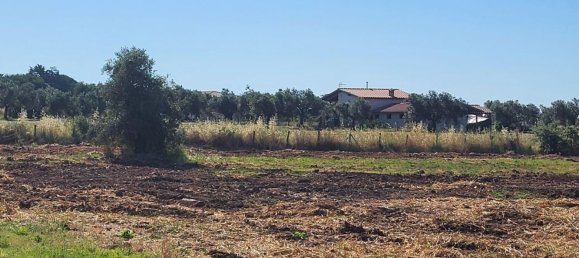 5000m² Land in Capalbio, Italy No. 289922 3