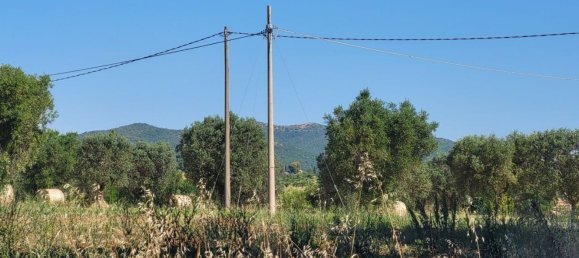 5000m² Land in Capalbio, Italy No. 289922 9