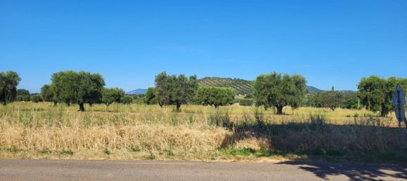 5000m² Land in Capalbio, Italy No. 289922 7