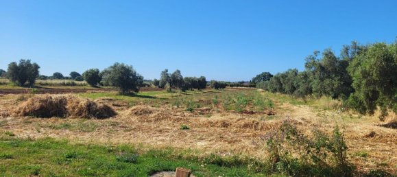 5000m² Land in Capalbio, Italy No. 289922 10