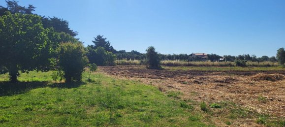 5000m² Land in Capalbio, Italy No. 289922 2