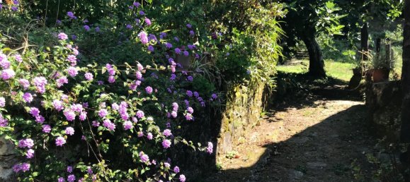 5 bedrooms House in Rois, Spain No. 166504 48