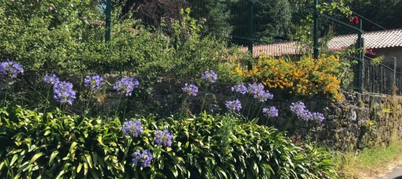 5 bedrooms House in Rois, Spain No. 166504 11