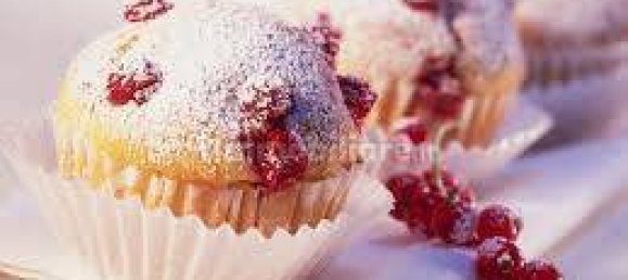 2 rooms Commercial property in Borgonovo Val Tidone, Italy No. 223878 11