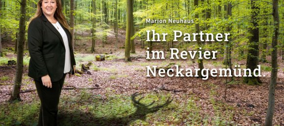 5 rooms Apartment in Rhein-Neckar-Kreis, Germany No. 11703 6