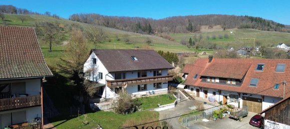 Таунхаус с 9 спальнями в Лёррах, Германия № 62653 2