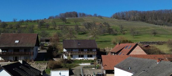 Таунхаус с 9 спальнями в Лёррах, Германия № 62653 31