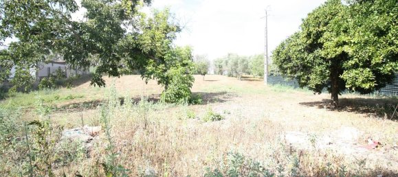 1 bedroom House in Leiria, Portugal No. 90268 17