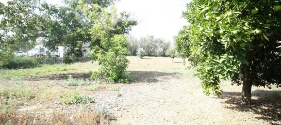 1 bedroom House in Leiria, Portugal No. 90268 18