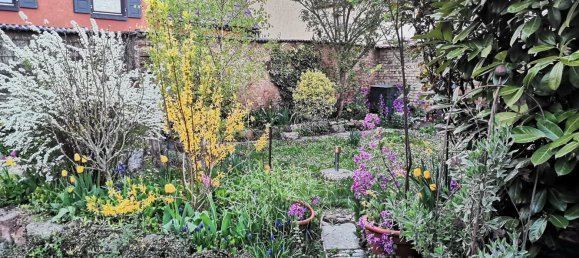 10 غرف نوم تاون هاوس في Rhineland-Palatinate, Germany رقم 247464 48