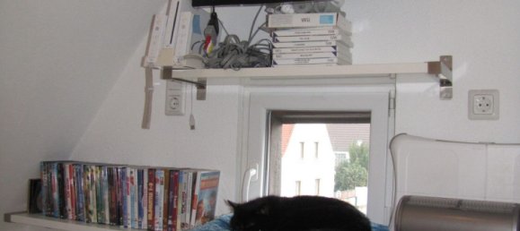 10 غرف نوم تاون هاوس في Rhineland-Palatinate, Germany رقم 247464 32