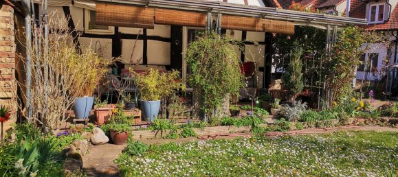 10 غرف نوم تاون هاوس في Rhineland-Palatinate, Germany رقم 247464 44