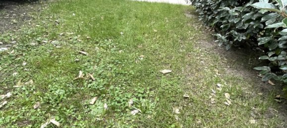 Квартира с 2 спальнями в Мерлимон, Франция № 160941 9