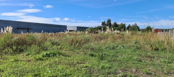 Grundstück in Ovar, Portugal 4950m², Nr. 72404 2