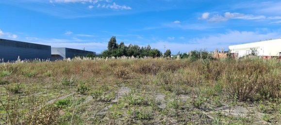 Grundstück in Ovar, Portugal 4950m², Nr. 72404 4