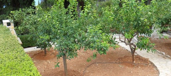 2 bedrooms Property in Argolis, Greece No. 7277 9