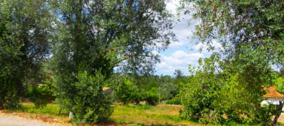 Grundstück in Cantanhede, Portugal 650m², Nr. 346105 3