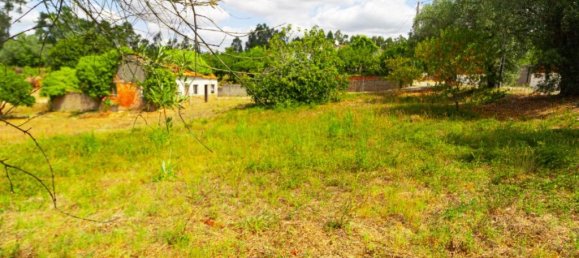 Grundstück in Cantanhede, Portugal 650m², Nr. 346105 6