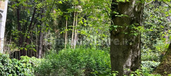 3 Schlafzimmer Wohnung in Rome, Italy, Nr. 195528 6