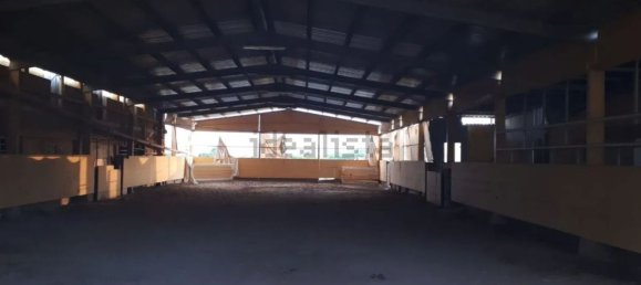 Grundstück in Almenara, Spain, Nr. 159421 6