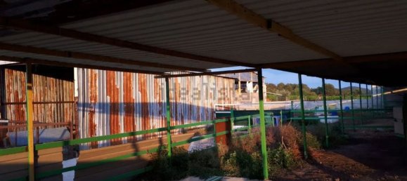 Grundstück in Almenara, Spain, Nr. 159421 5