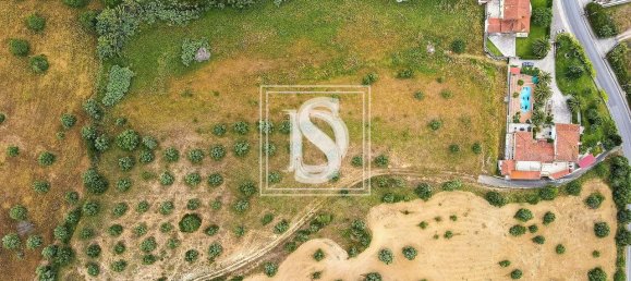 8 Schlafzimmer Haus in Torres Novas, Portugal, Nr. 49923 33