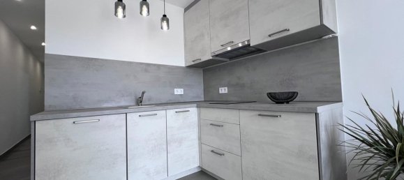 1 Schlafzimmer Wohnung in Santa Ponsa, Spain, Nr. 16251 11