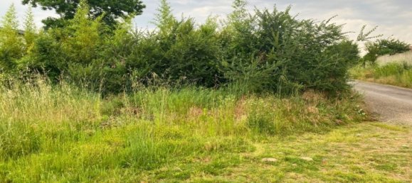 Земельный участок 442м² в Роман-сюр-Изер, Франция № 101609 5