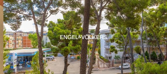 3 rooms Apartment in Bari, Italy No. 268051 19