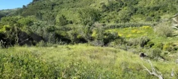 Земельный участок в Мафра, Португалия № 74101 7