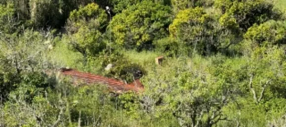 Земельный участок в Мафра, Португалия № 74101 8