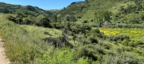 Земельный участок в Мафра, Португалия № 74101 9