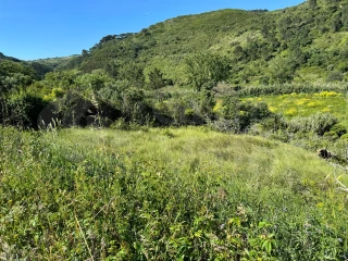 Земельный участок в Мафра, Португалия № 74101