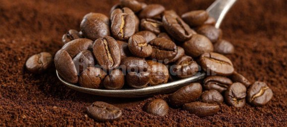 1غرفة عقار تجاري في Verona, Italy رقم 202656 22