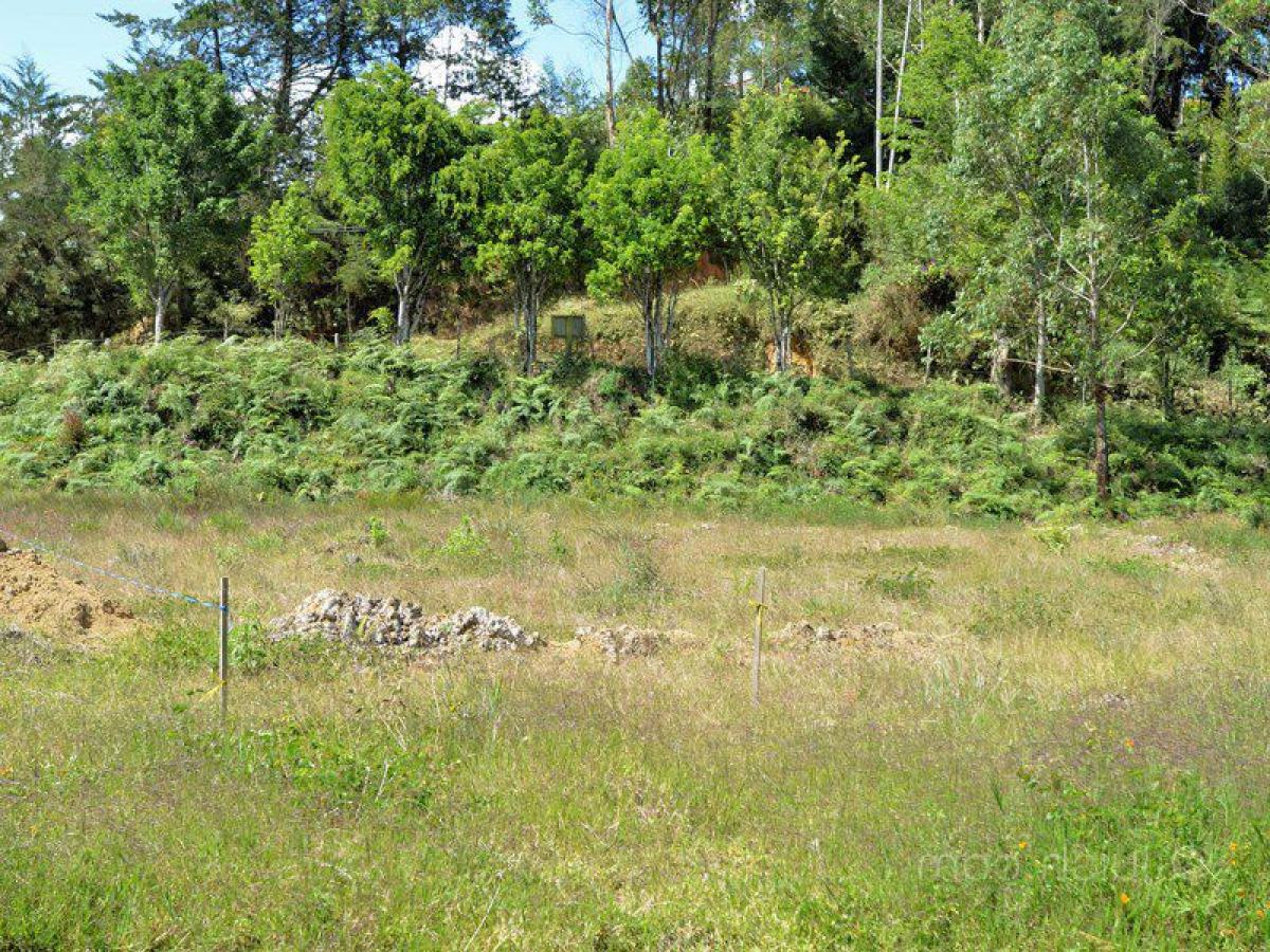  Land in Antioquia, Colombia No. 299