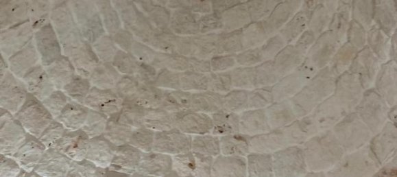 6-Zimmer Haus in Ceglie Messapica, Italy, Nr. 109692 16