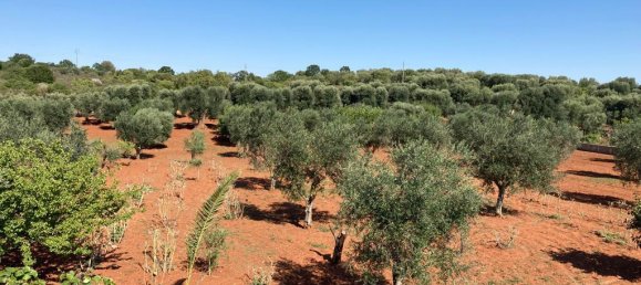 6-Zimmer Haus in Ceglie Messapica, Italy, Nr. 109692 50