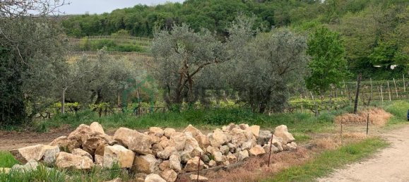 3 rooms House in Colognola ai Colli, Italy No. 126574 9