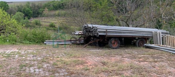 3 rooms House in Colognola ai Colli, Italy No. 126574 6