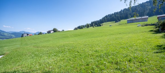 Terreno en Alberschwende, Austria No. 30875 4