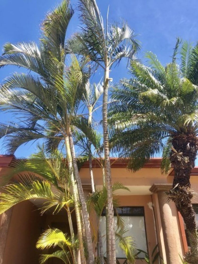 3 bedrooms House in Santa Ana, Costa Rica No. 548