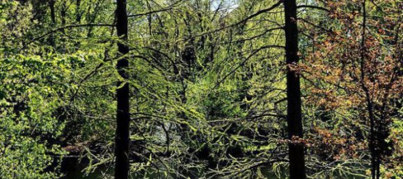 Apartamento de 2 dormitorios en Charlottenburg, Germany No. 72771 7