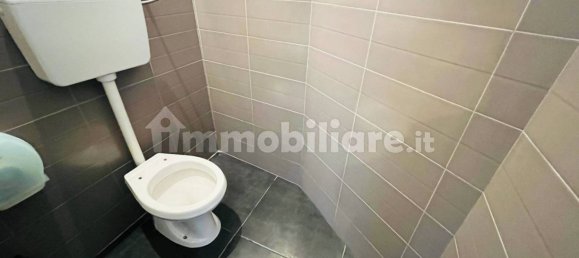 Коммерческая недвижимость с 3 комнатами в Ласкари, Италия № 114913 42