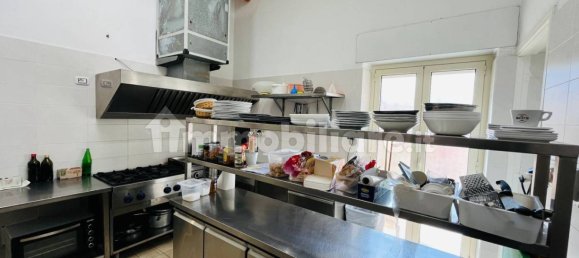 Коммерческая недвижимость с 3 комнатами в Ласкари, Италия № 114913 15