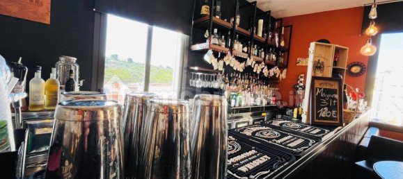 Коммерческая недвижимость с 3 комнатами в Ласкари, Италия № 114913 4