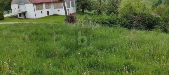  Land in Griffen, Austria No. 229889 3