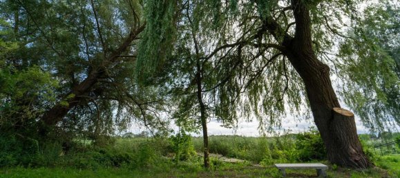 Бунгало с 2 спальнями в Мекленбургское Поозёрье, Германия № 249567 20