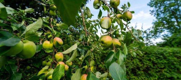 Бунгало с 2 спальнями в Мекленбургское Поозёрье, Германия № 249567 21