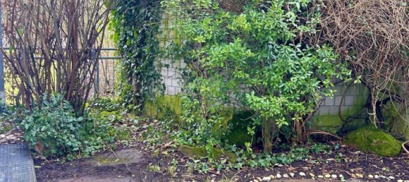 1 chambre Appartement à Frankfurt am Main, Germany No. 12317 6